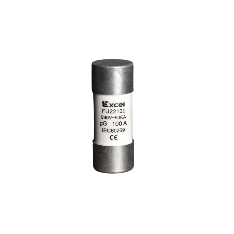100A 22mm Fuse – 22x58mm gG Barrel Fuse for Protection