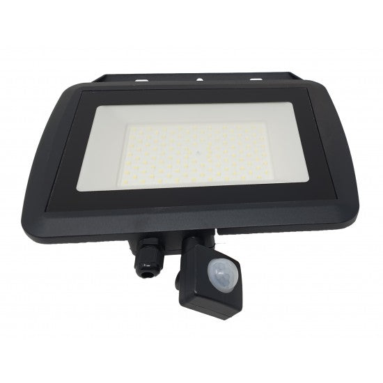 100W LED Slim Powerful Security Floodlight IP65 Outdoor Garden Light Daylight 6500K