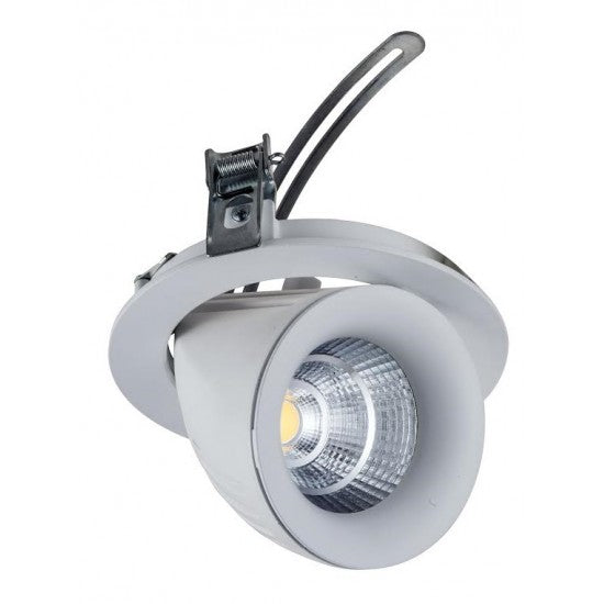 20W Dimmable Form Tilt Recessed Indoor Retail Display Ceiling Down Light White Finish