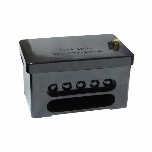 100 Amp 2 Pole Connecting Block – Heavy Duty Power Terminal