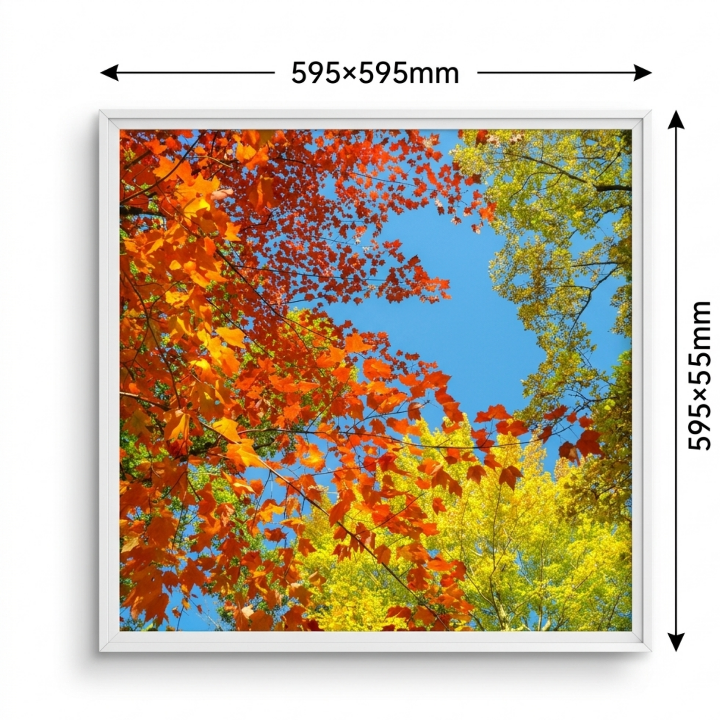 600x600 LED ceiling panel size diagram 40W cool white printed panel dimensions