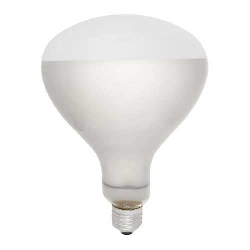Professional 250W ES R125 Infrared Heating Lamp – Warm White