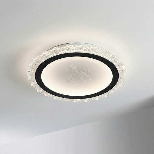 ceiling light hallway
